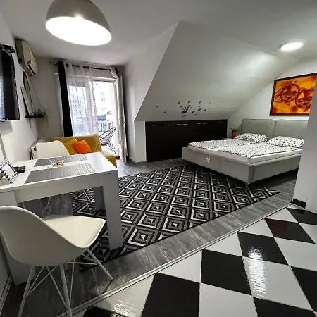 Appartamento Marina Penthouse Novi Sad Esterno foto