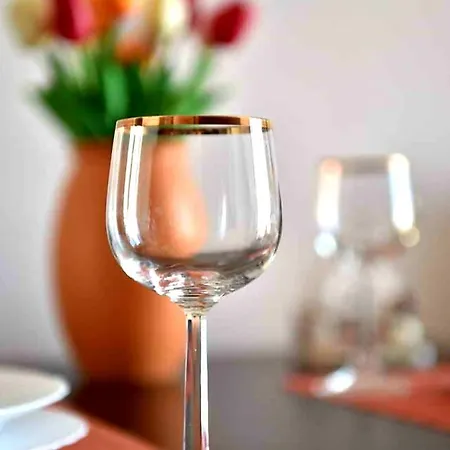 Appartamento Marina Penthouse Novi Sad Esterno foto